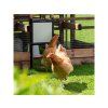 CHICKEN GUARD PRO KOMPLET 5