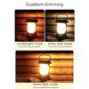 solar lamp (2)