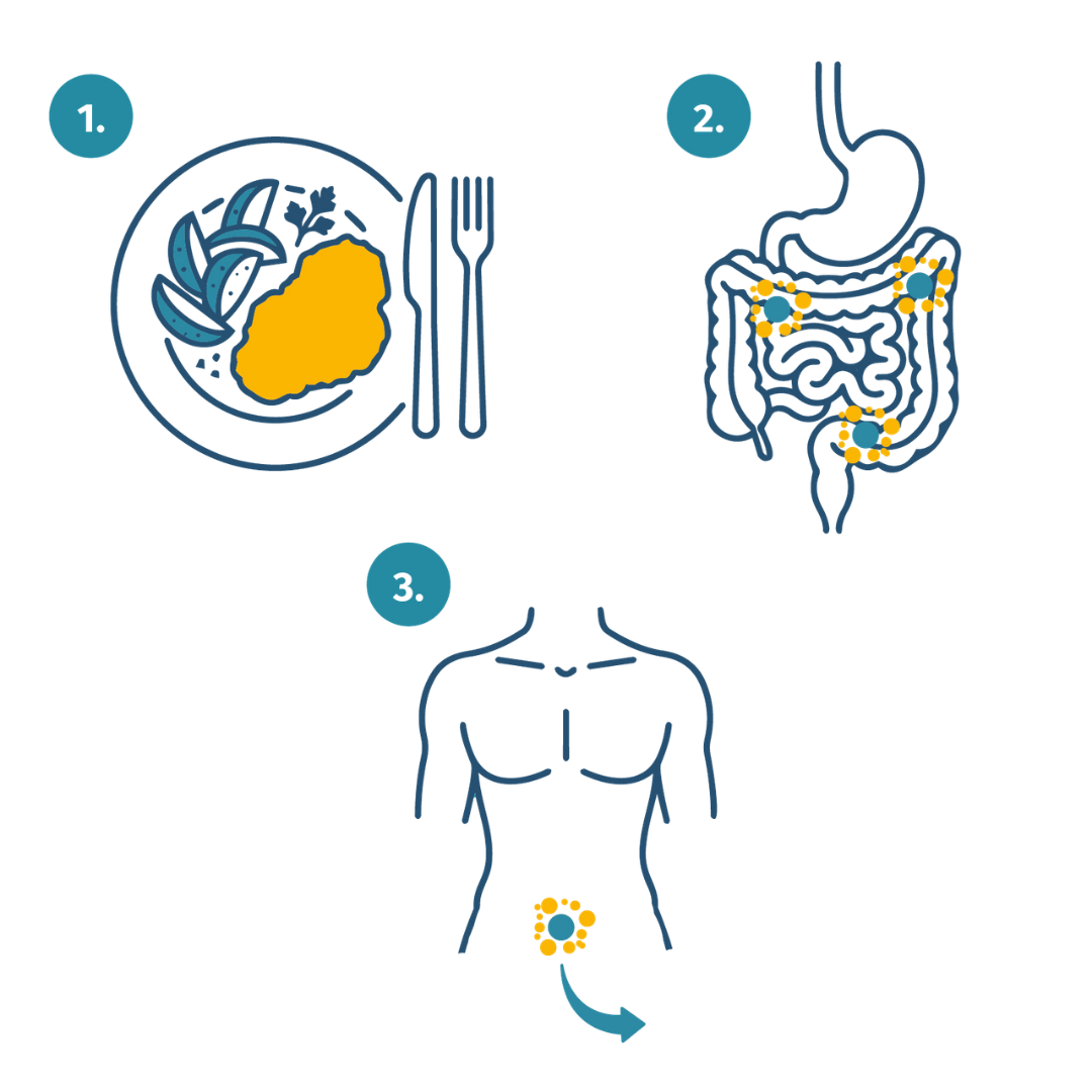 formoline_princip_účinku