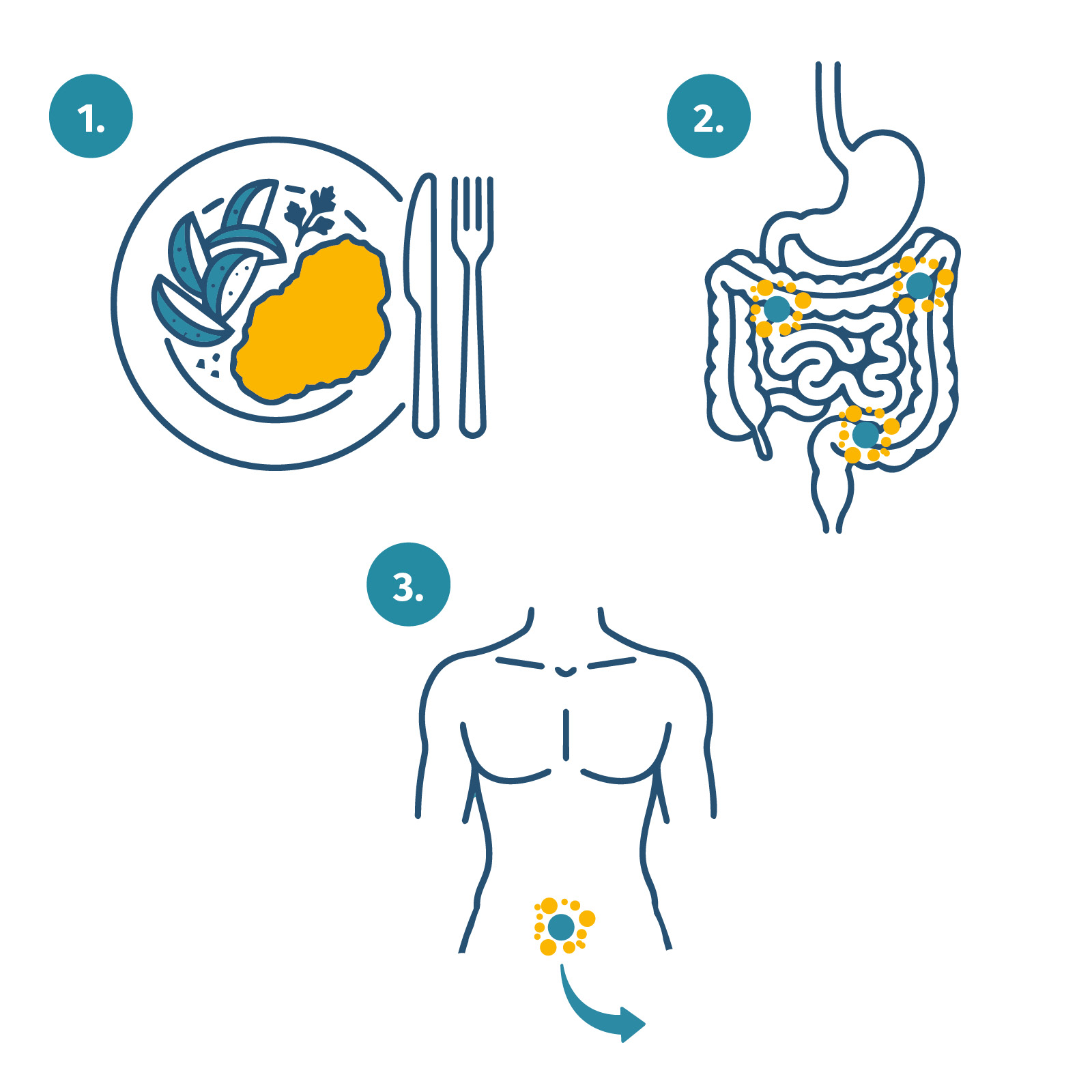 formoline_princip_účinku