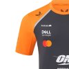 McLaren F1 2025 týmové tričko Lando Norris šedé (4)