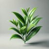 tea tree 10 11zon
