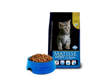 154 52 matisse kitten@web 300x300