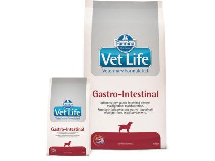 PH VetLife Gastrointestinal dog granule