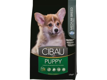 PPNVS Cibau puppy medium
