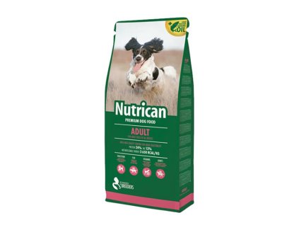 OBC017508 1551086422