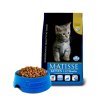154 52 matisse kitten@web 300x300