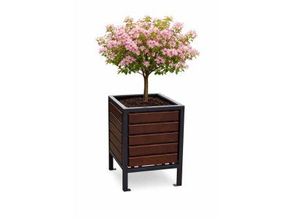 květináč olše palisandr se stromkem