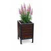 květináč olše palisandr s rostlinou