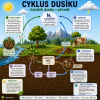 Cyklus dusíku II
