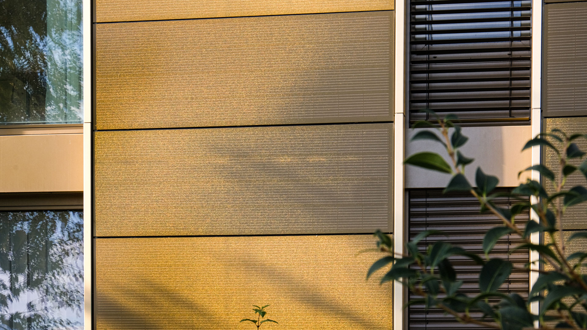 2468_Solar-Fassade-FAST-Megasol-Energie-AG-4587-03
