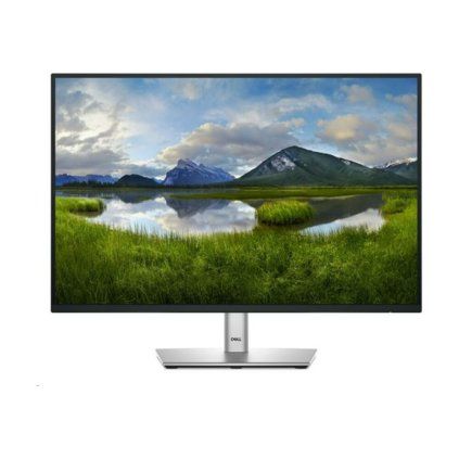 Dell P2425 24" 1920×1200 100Hz
