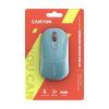 CANYON MW-22