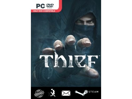 6917 thief steam pc