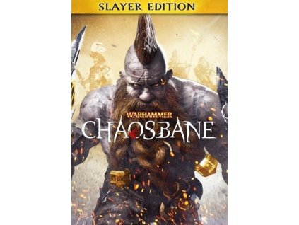 2921 warhammer chaosbane slayer edition steam pc