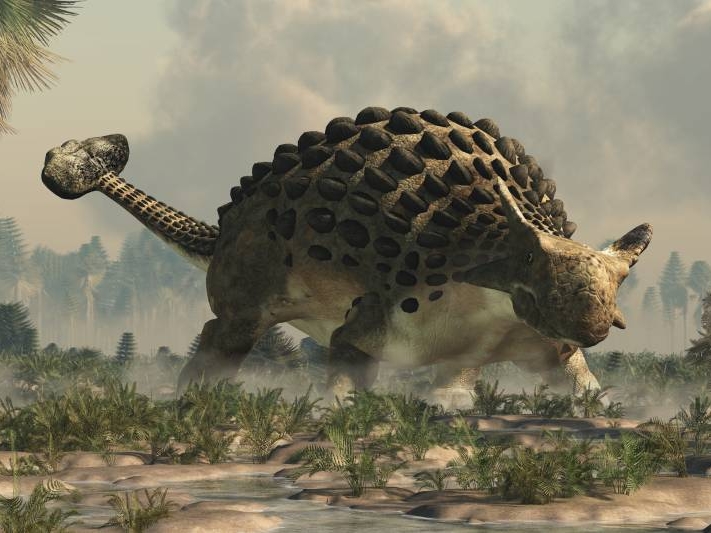 Ankylosaurus