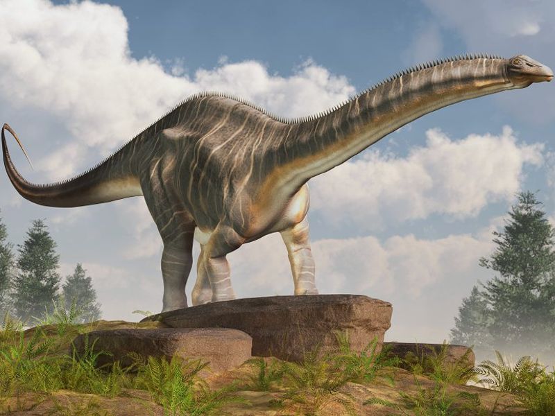 Apatosaurus