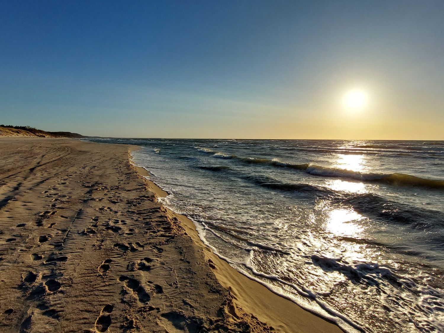 Hledání a výskyt jantaru