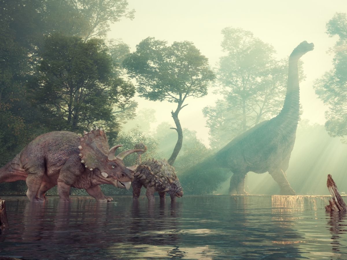 Býložraví dinosauři