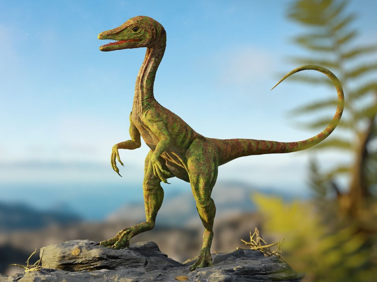 Compsognathus