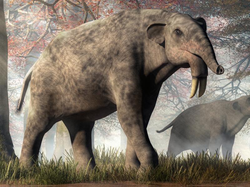 Deinotherium - vyhynulý rod velkých chobotnatců