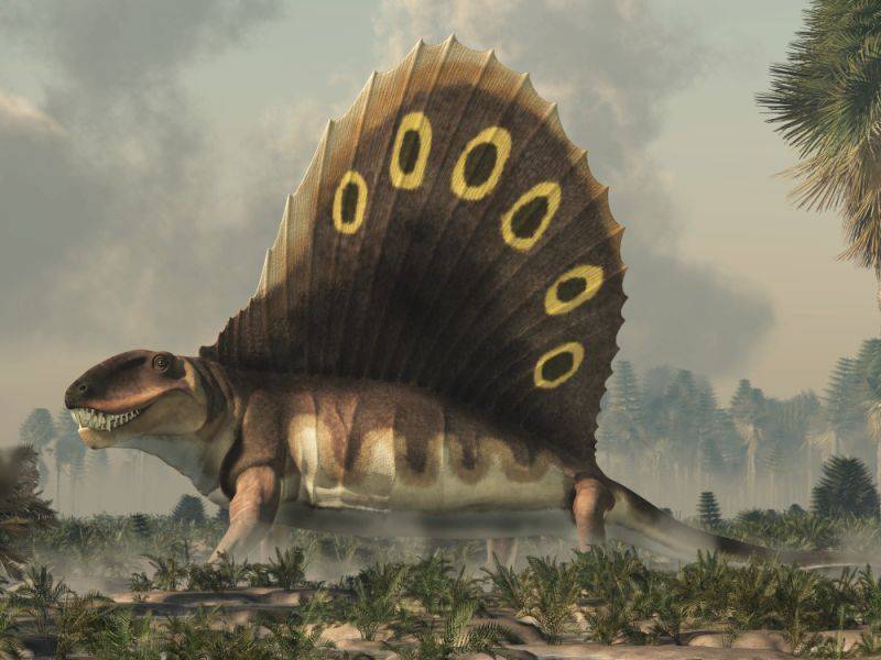 Dimetrodon - dravý pelykosaur