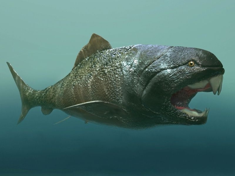 Dunkleosteus