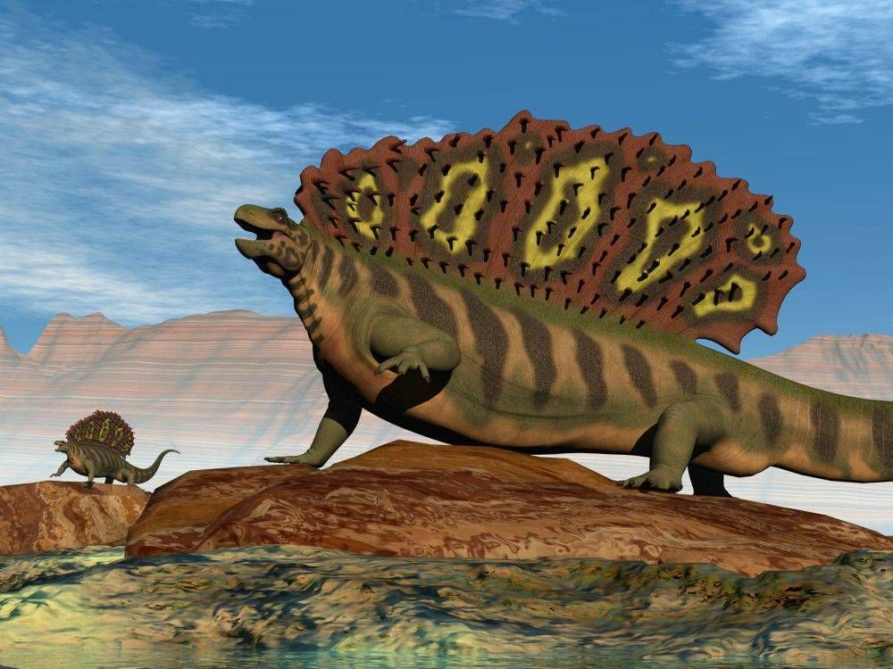 Edaphosaurus