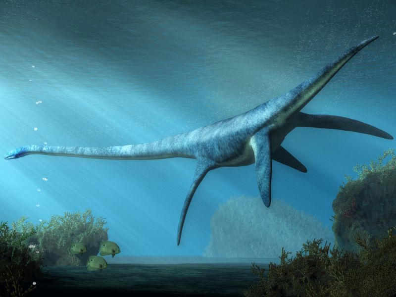 Elasmosaurus - jeden z největších plesiosaurů