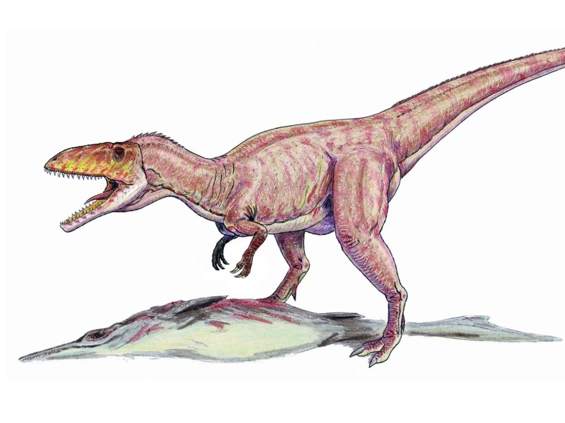 Nálezy dinosaurů v Česku