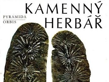 Kamenný herbář - Sergej Viktorovič Mejen