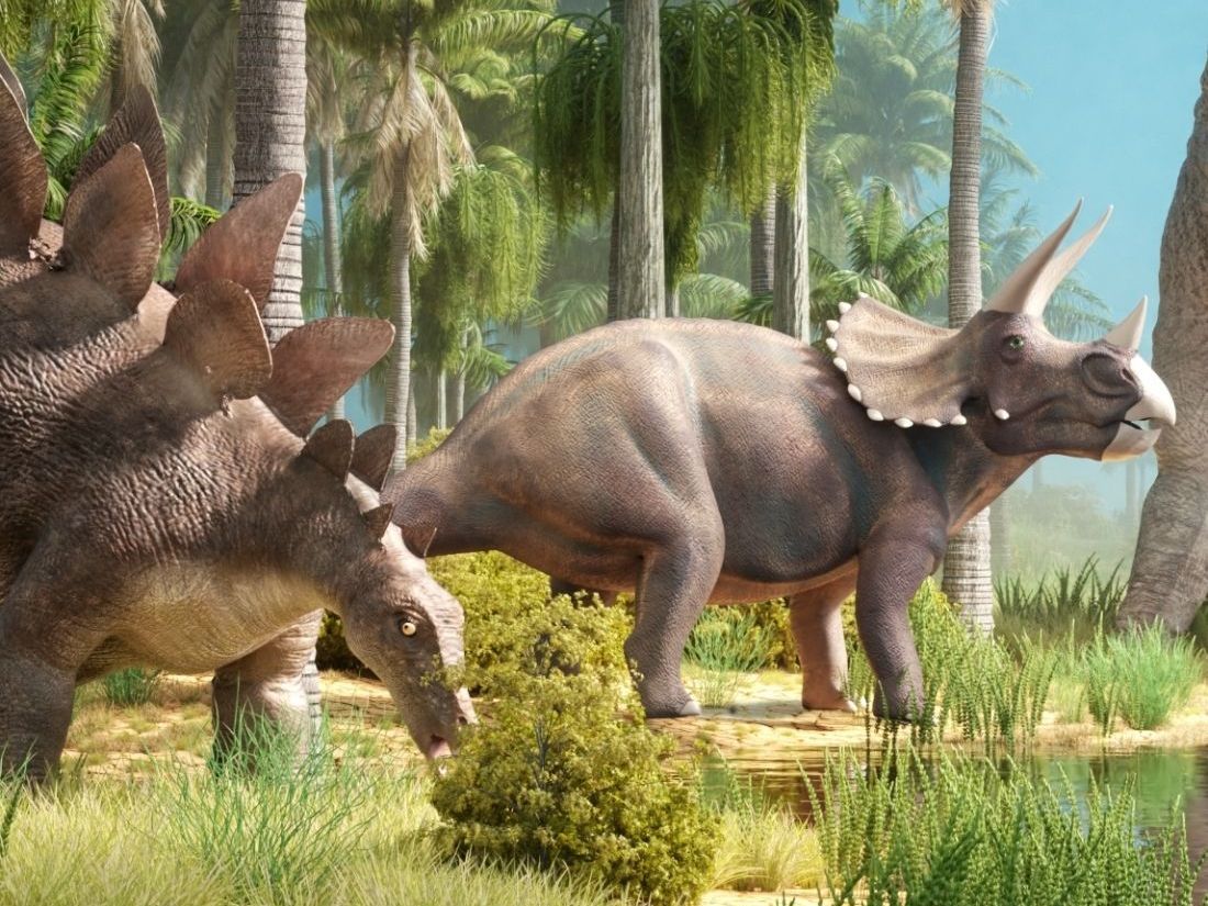 Kdy se objevili první dinosauři?