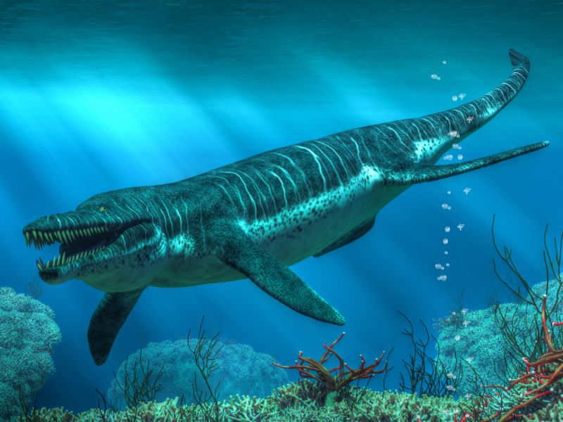 Kronosaurus "Kronův ještěr"