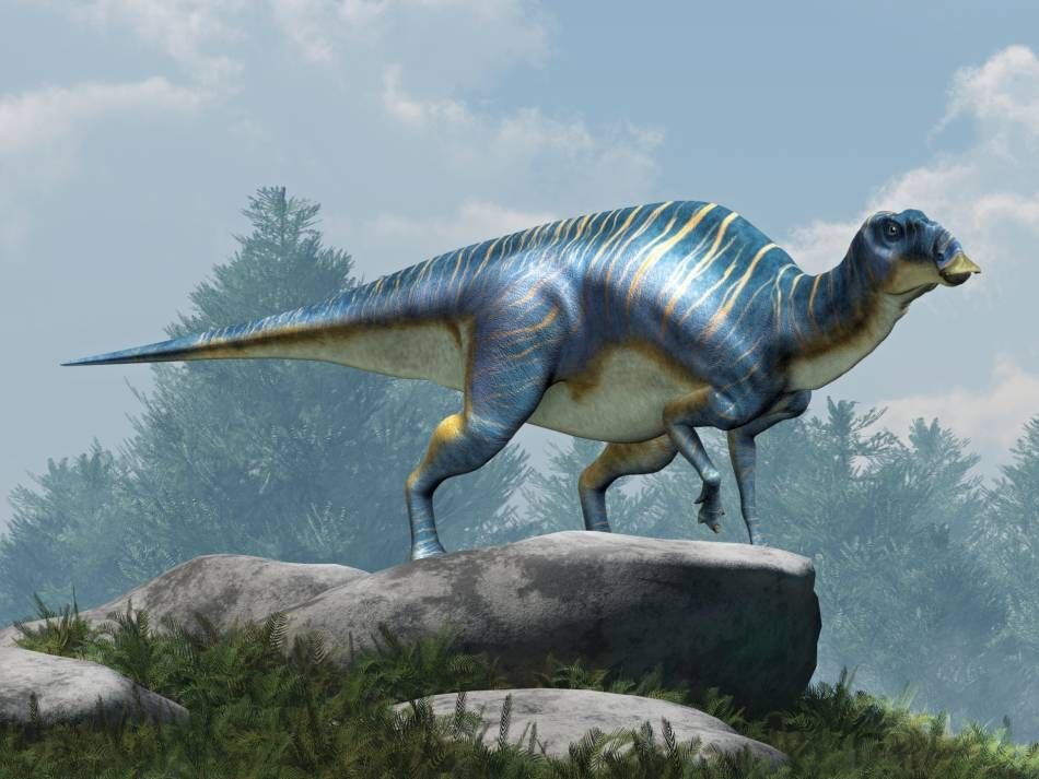 Maiasaura