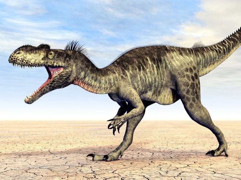 Megalosaurus