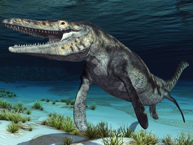 Mosasaurus "ještěr od řeky Mázy"