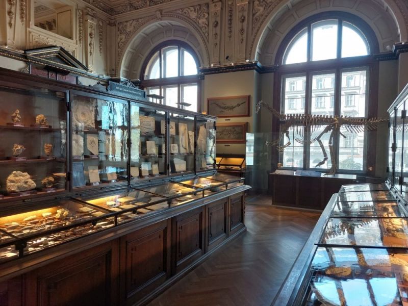 Muzeum ve Vídni - paleontologické oddělení