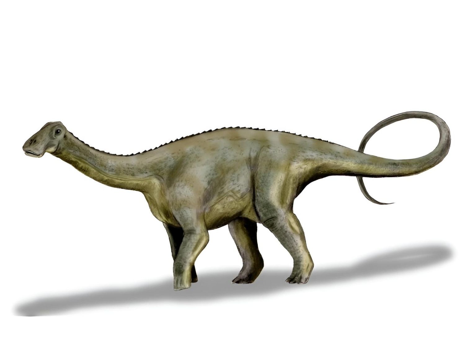 Který dinosaurus měl 500 zubů?