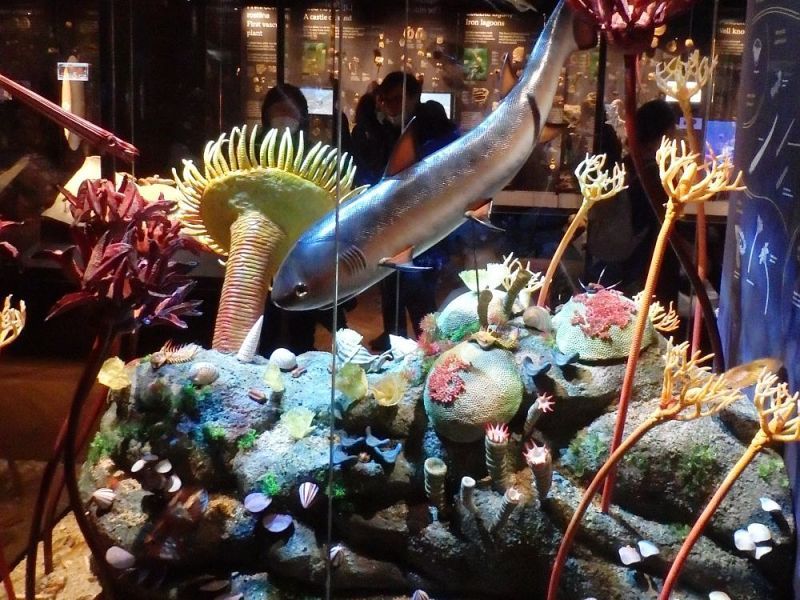 Národní muzeum Praha - Okna do pravěku