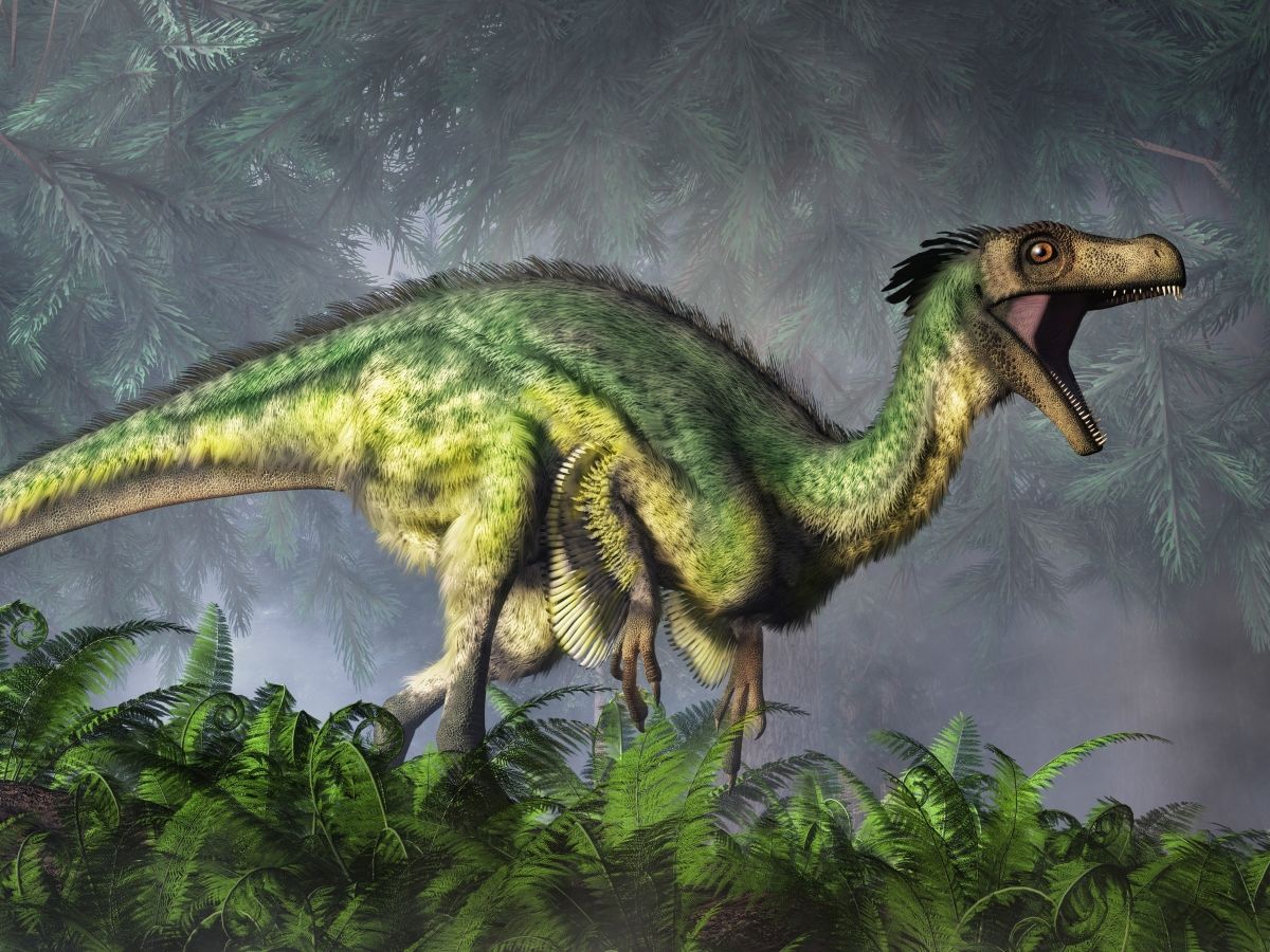 Ornitholestes