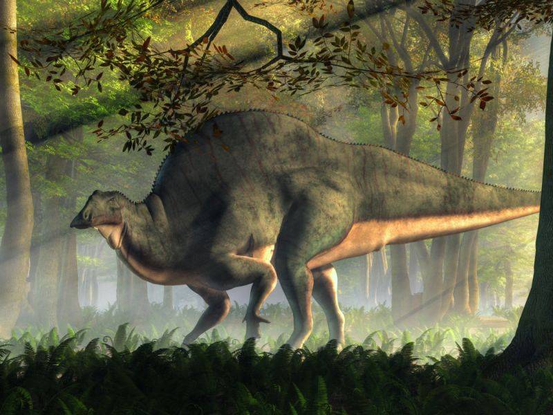 Ouranosaurus