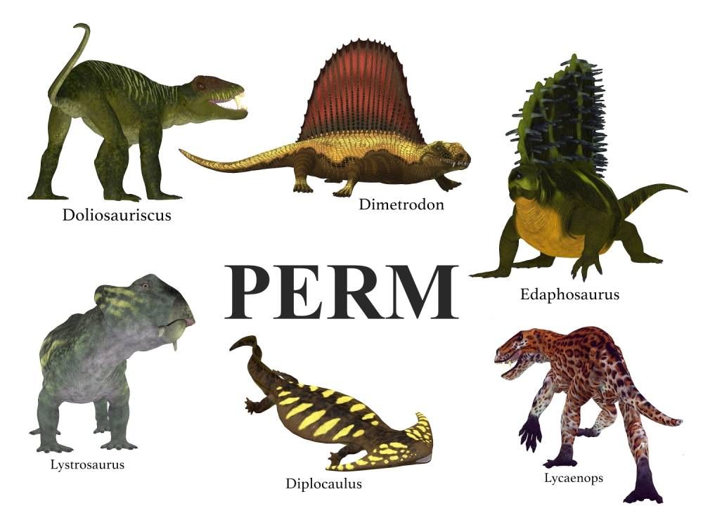 Perm