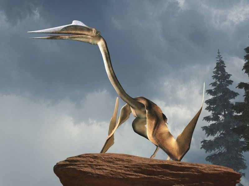 Quetzalcoatlus - největší létají zvíře