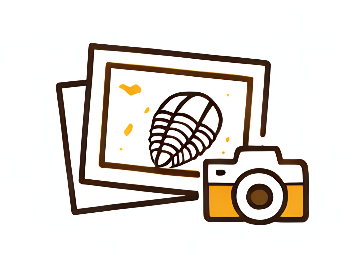 Reálné fotografie u zboží