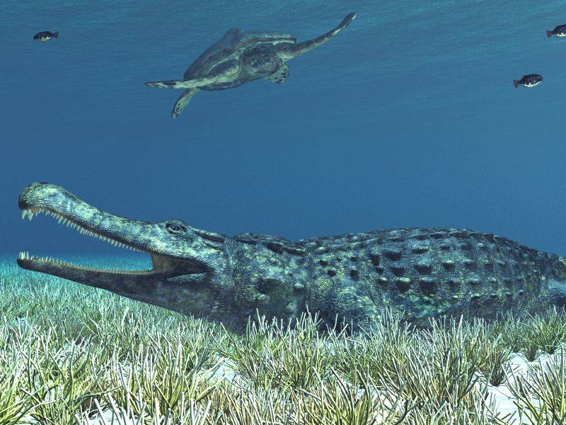 Sarcosuchus - vládnoucí krokodýl