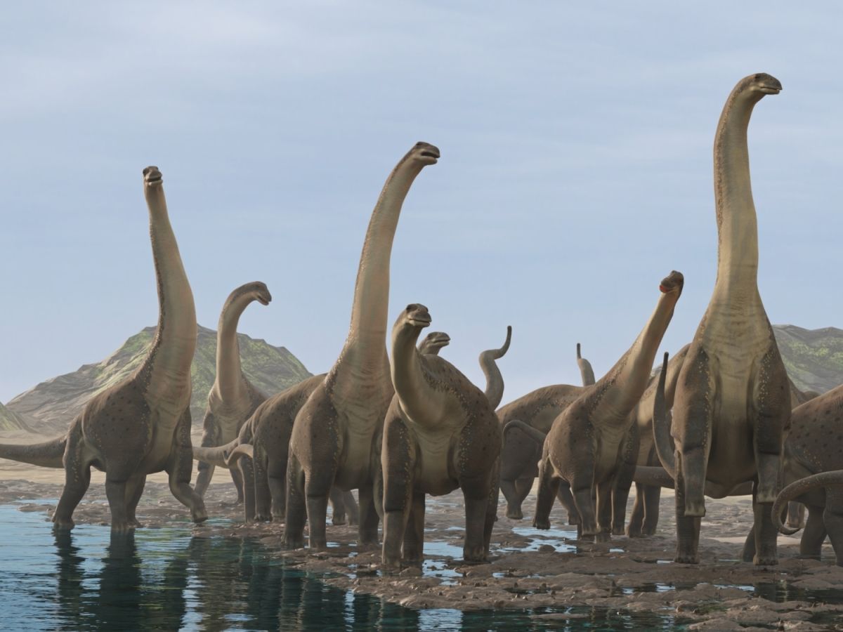 Sauropodi - dlouhokrcí obři