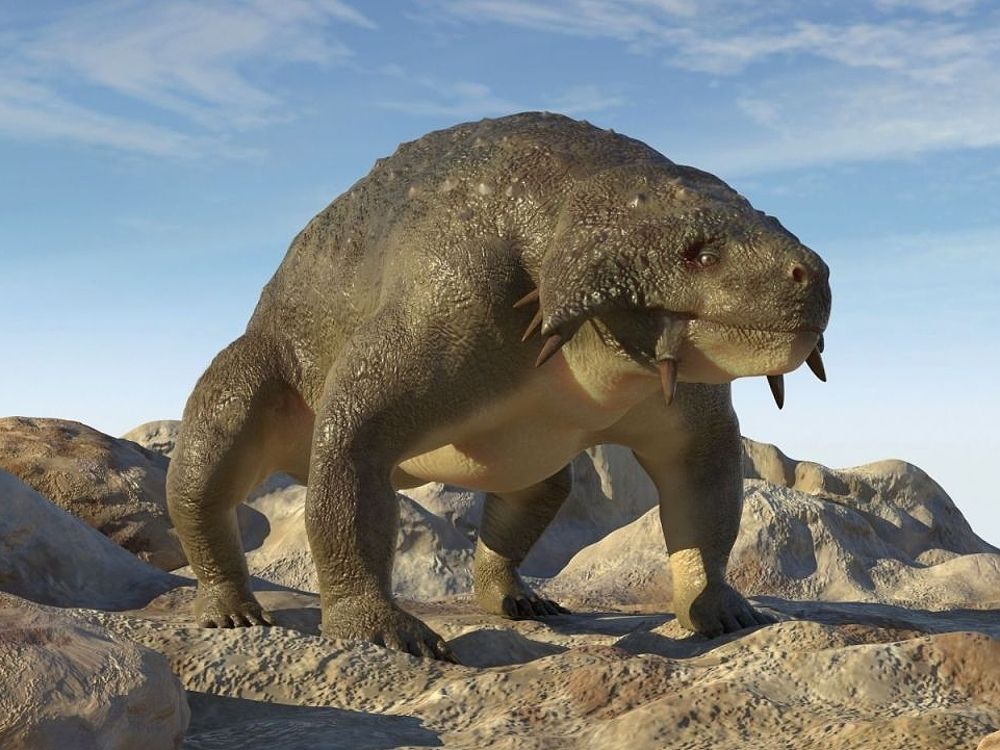 Scutosaurus
