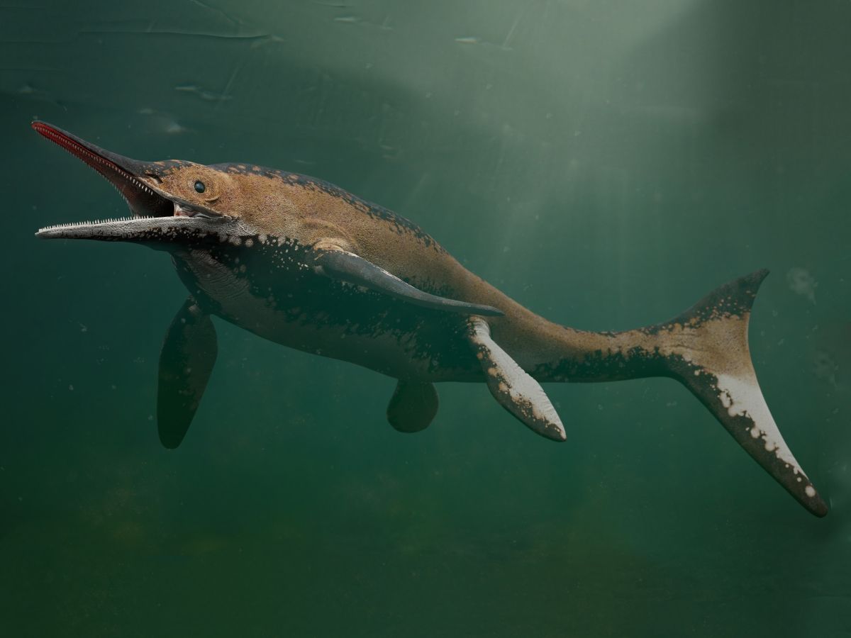 Shastasaurus - obří ryboještěr