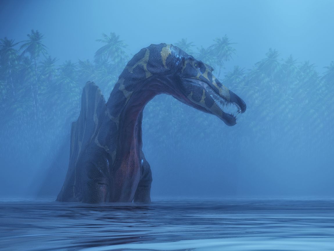 Spinosaurus aegyptiacus, byl přizpůsoben jak pro život na souši tak i ve vodě