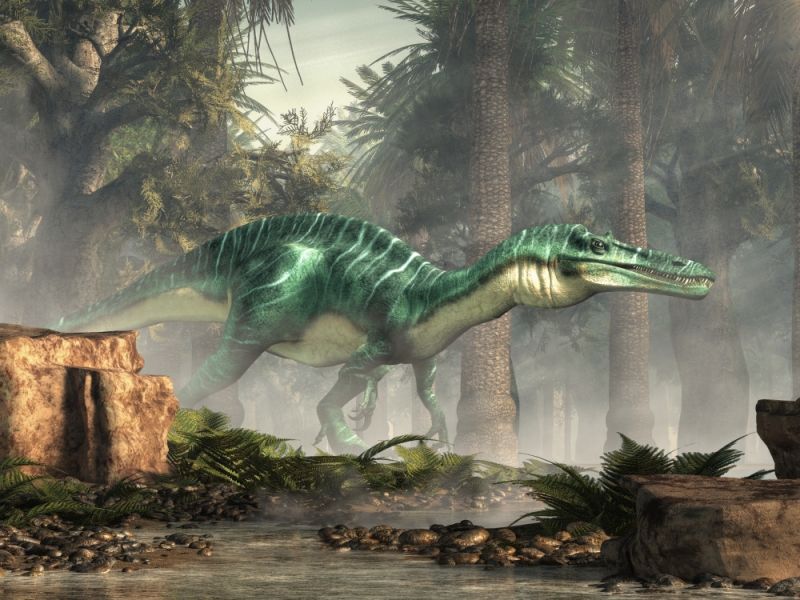 Suchomimus